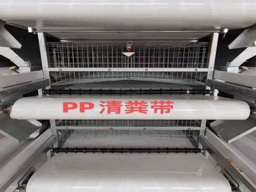 雞舍自動清糞機需要根據(jù)雞舍的布局正確安裝以確認其長期運行